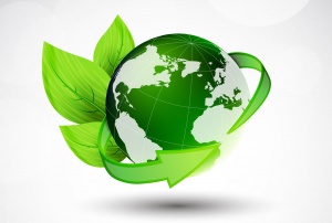 Экологическая безопасность и охрана окружающей среды